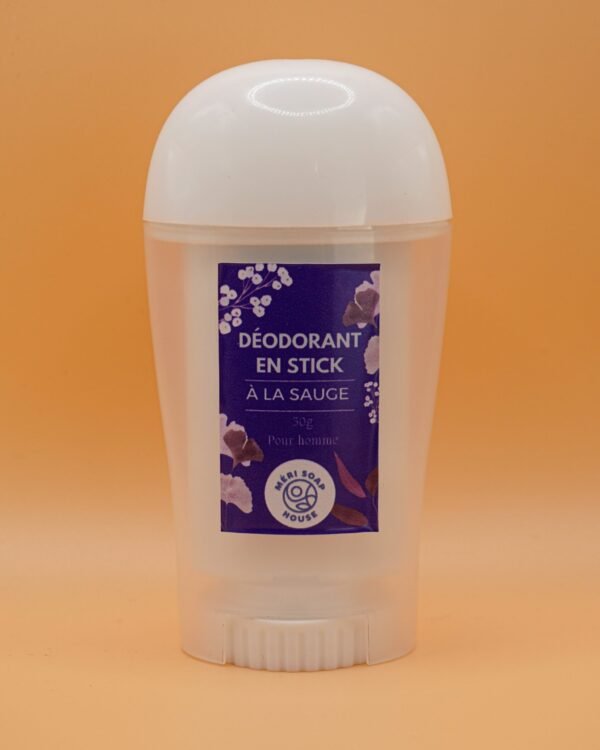 Déo stick pour homme 50g