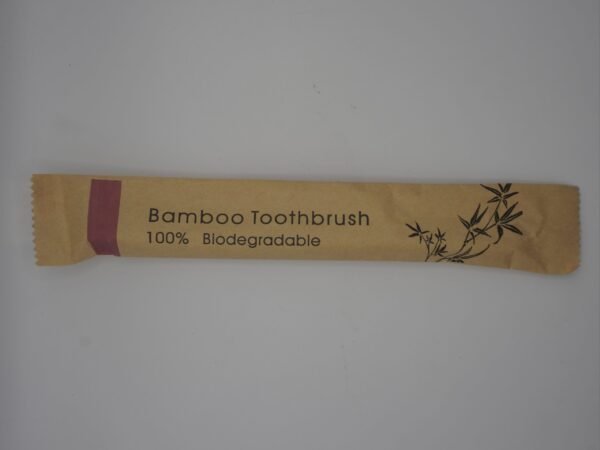 brosse à dent en bamboo